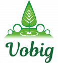 Vobig